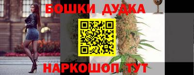 шишки Сланцы