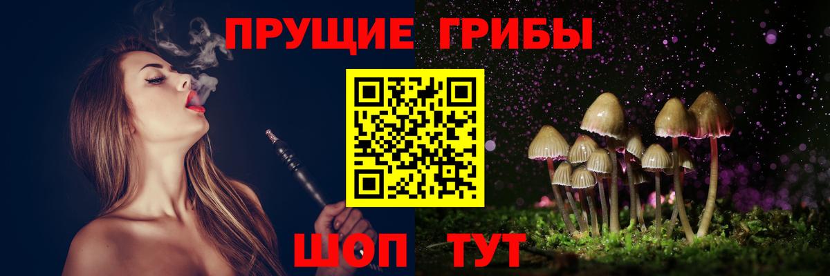 Галлюциногенные грибы ЛСД Отрадное